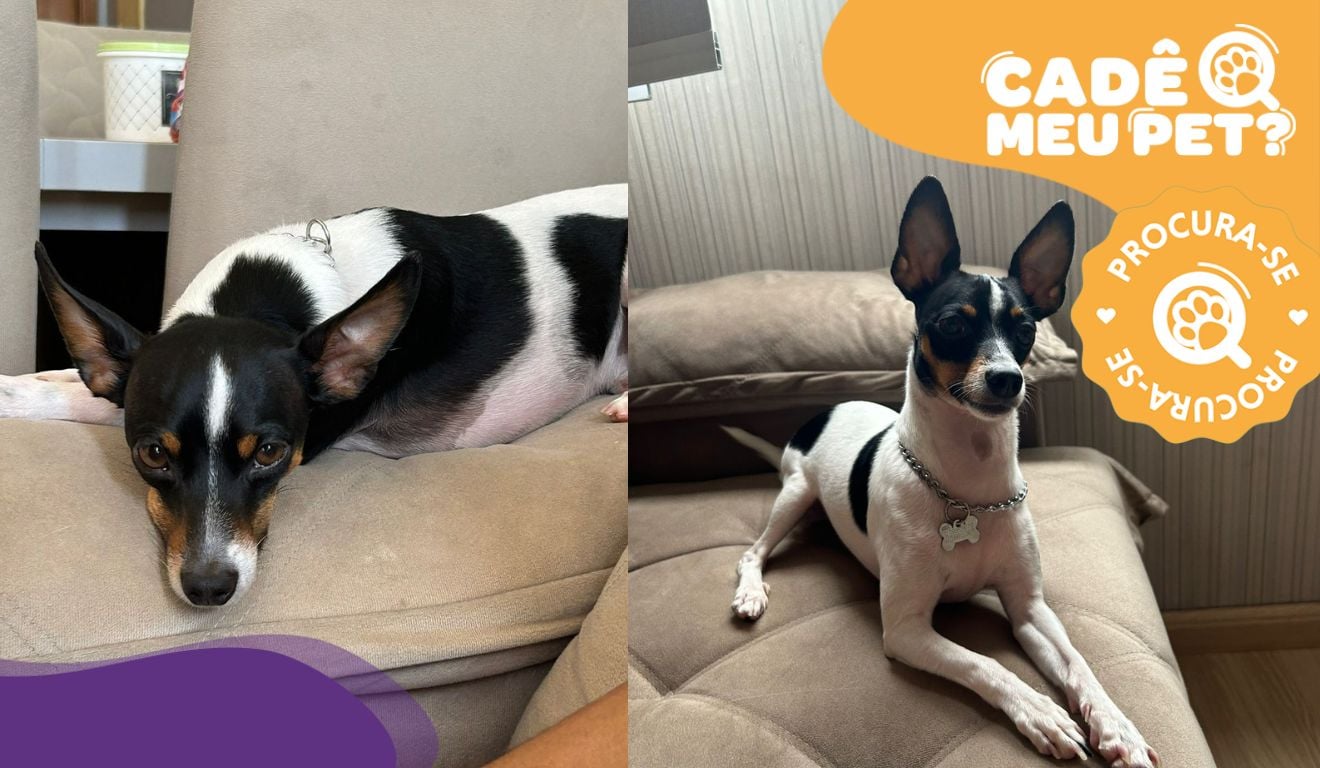 Foto: Acervo pessoal Foto: Acervo pessoal