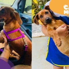 Foto: Acervo Pessoal