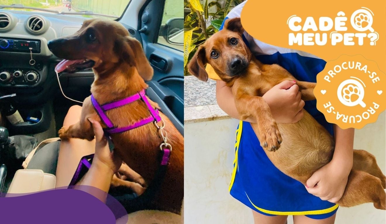 Foto: Acervo Pessoal