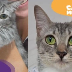 Foto: Acervo Pessoal