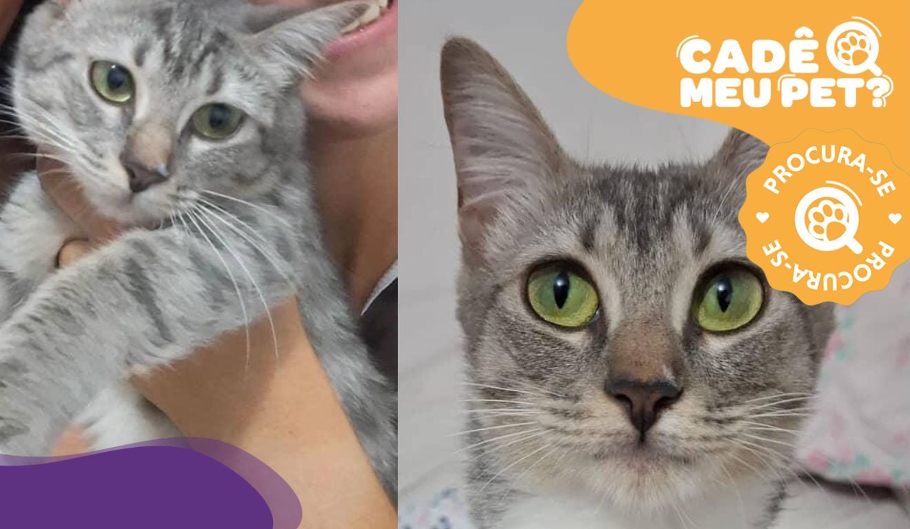 Foto: Acervo Pessoal Foto: Acervo Pessoal