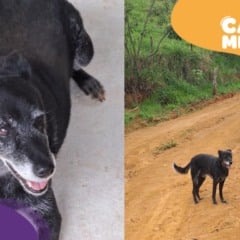 Foto: Acervo pessoal