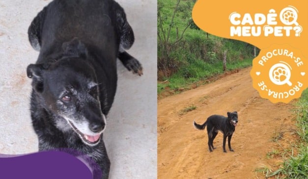 Foto: Acervo pessoal