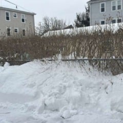 Reprodu&ccedil;&atilde;o/Arquivo Pessoal