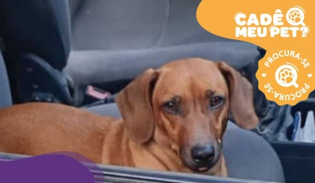 Foto: Acervo Pessoal