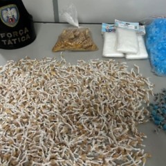 Foto: Reprodução/TV Vitória