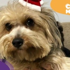 Reprodu&ccedil;&atilde;o/Arquivo Pessoal