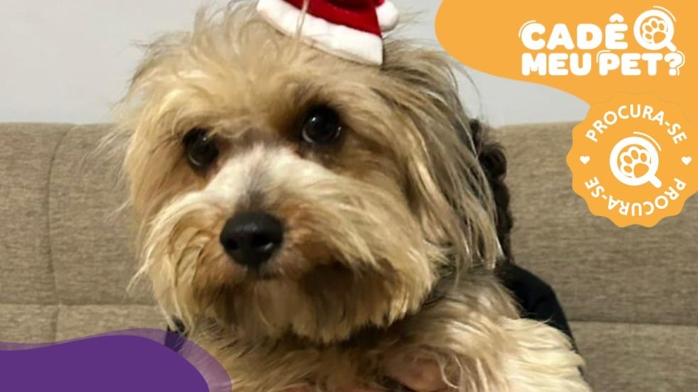 Reprodução/Arquivo Pessoal Reprodução/Arquivo Pessoal