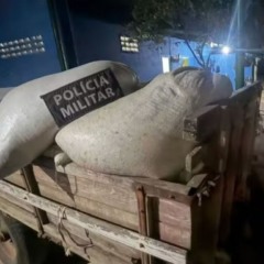 Foto: Pol&iacute;cia Militar/ Reprodu&ccedil;&atilde;o 