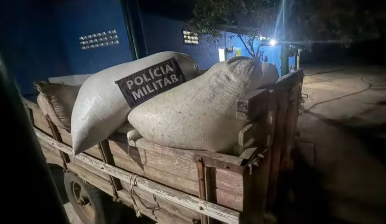 Foto: Polícia Militar/ Reprodução 