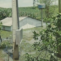 Foto: Arquivo pessoal