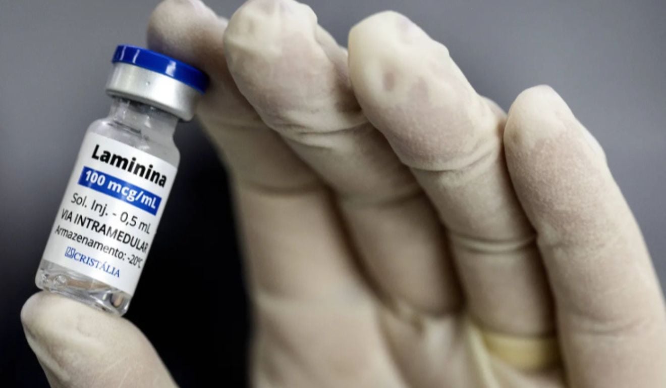 Imagem: Divulgação/UFRJ