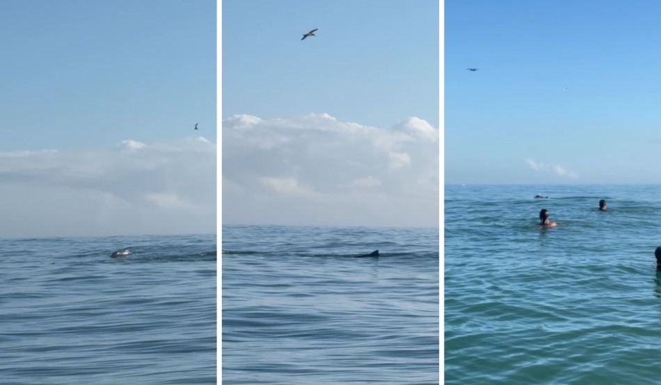 Foto: Acervo Pessoal