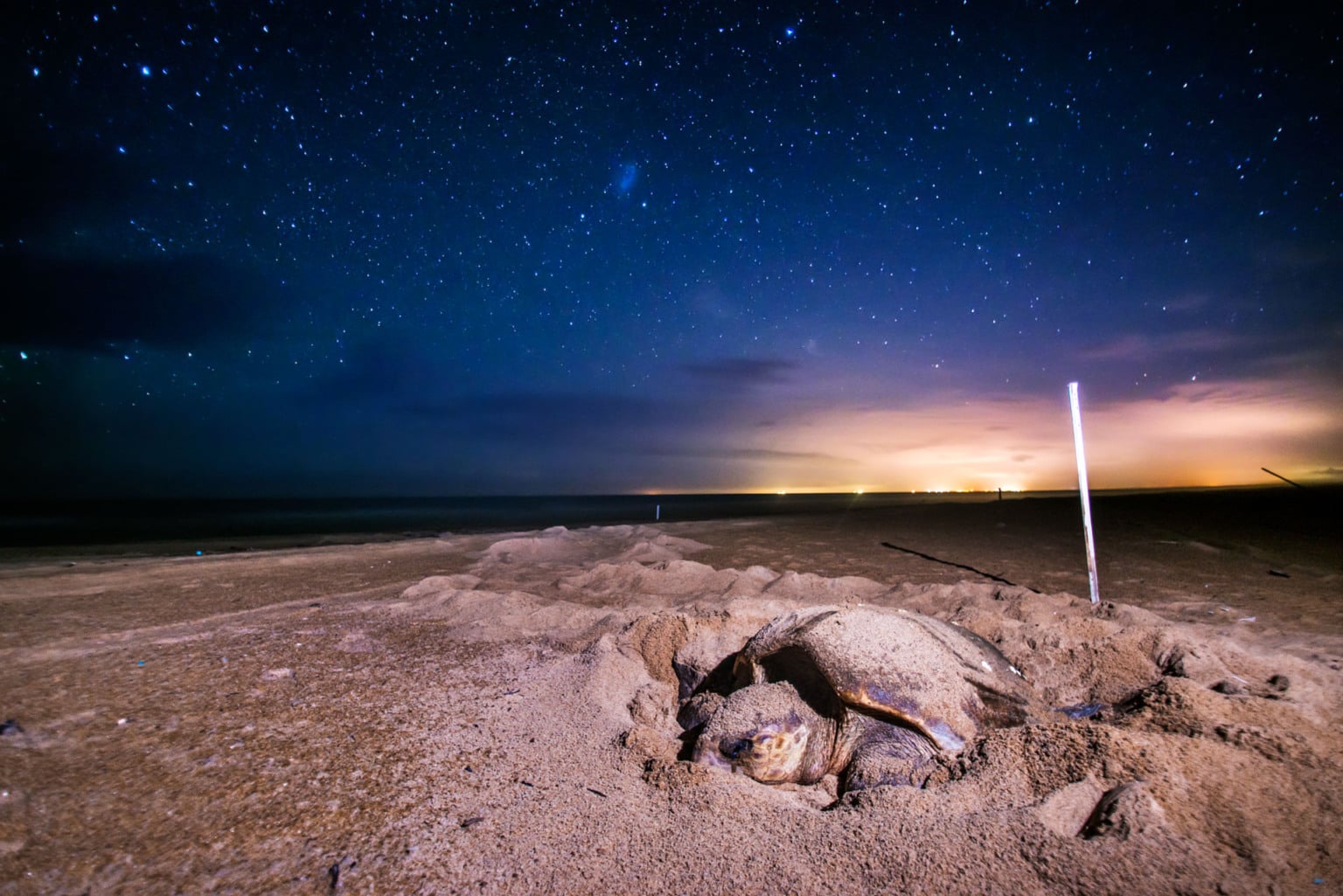 "descrever a situação", encontrado no "digite o local contendo cidade, estado e país" "descrever a situação", encontrado no "digite o local contendo cidade, estado e país"