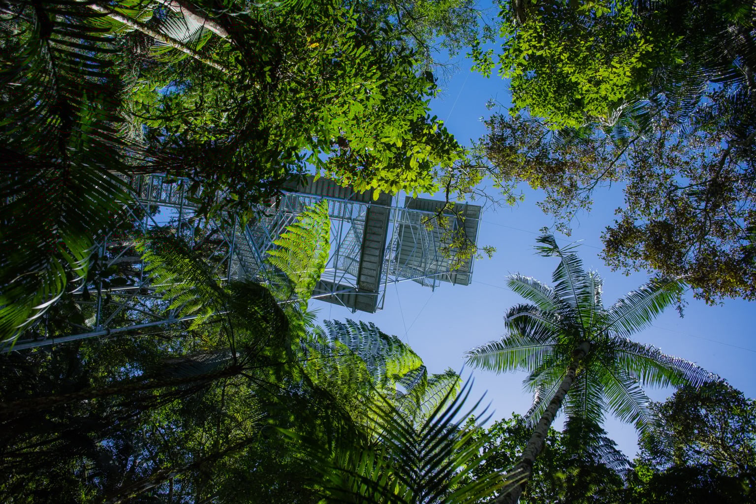 Reserva Kaetés. Créditos: Acervo Instituto Marcos Daniel Reserva Kaetés. Créditos: Acervo Instituto Marcos Daniel