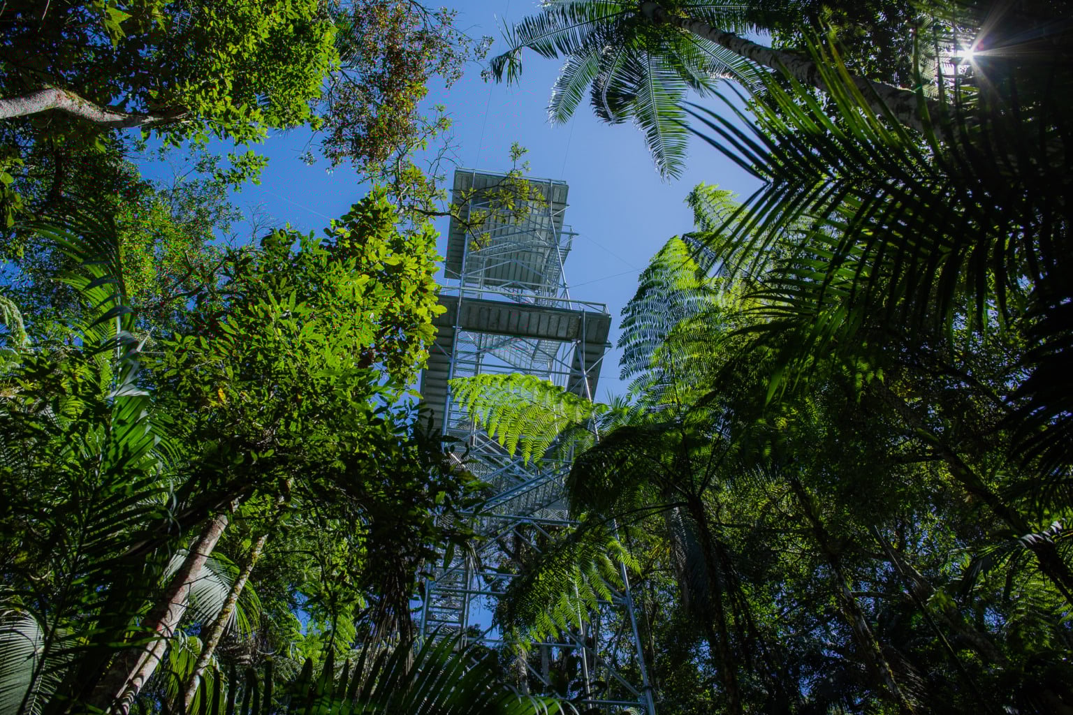 Reserva Kaetés. Créditos: Acervo Instituto Marcos Daniel Reserva Kaetés. Créditos: Acervo Instituto Marcos Daniel