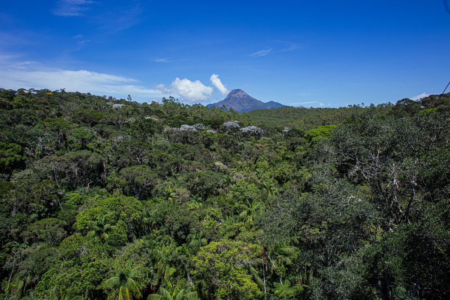 Reserva Kaetés. Créditos: Acervo Instituto Marcos Daniel Reserva Kaetés. Créditos: Acervo Instituto Marcos Daniel