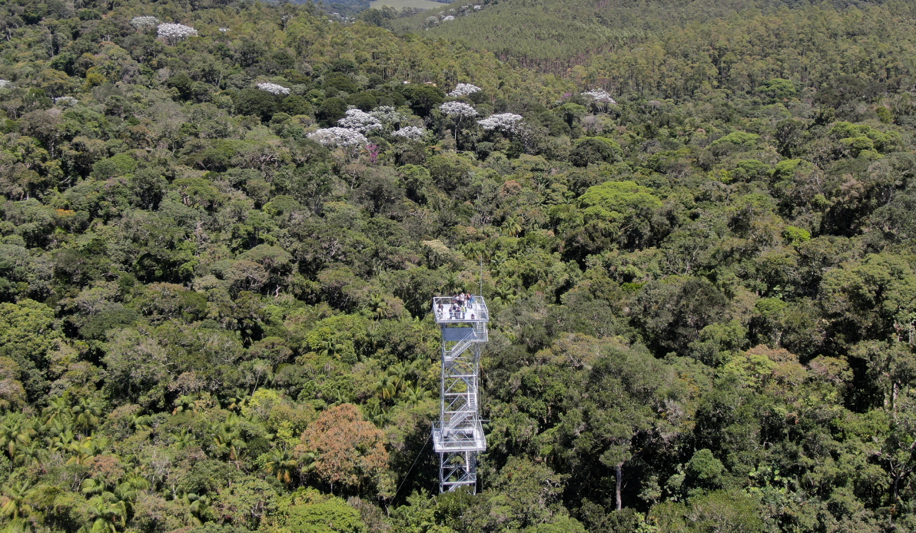 Reserva Kaetés, uma das RPPNs do Espírito Santo, onde tem a torre de observação mais alta do Estado. Créditos: Instituto Marcos Daniel Reserva Kaetés, uma das RPPNs do Espírito Santo, onde tem a torre de observação mais alta do Estado. Créditos: Instituto Marcos Daniel