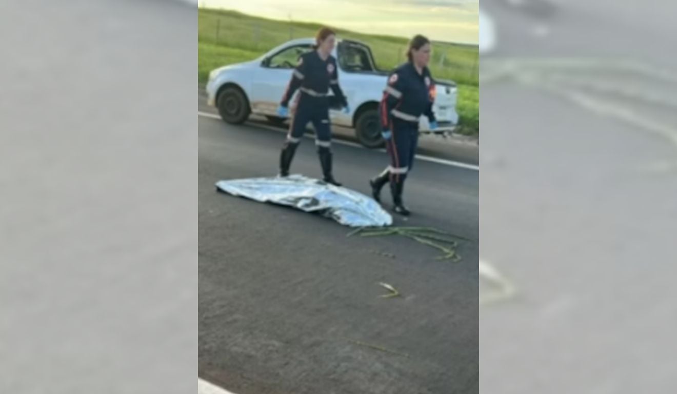 Foto: Reprodução/Conecta Bauru Foto: Reprodução/Conecta Bauru