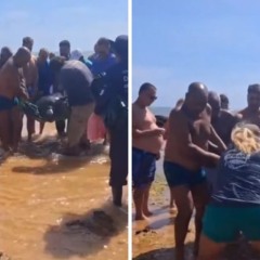 Reprodu&ccedil;&atilde;o/Ibraff