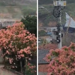 Foto: Reprodu&ccedil;&atilde;o/leitor