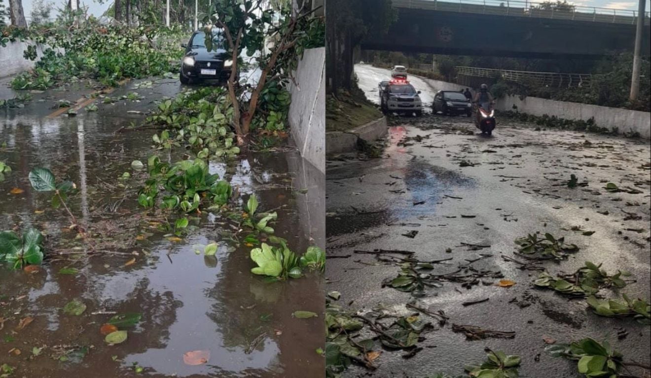 Reprodução Reprodução