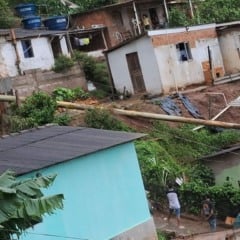 Tronco de eucalipto cai e atinge duas casas em Ibatiba