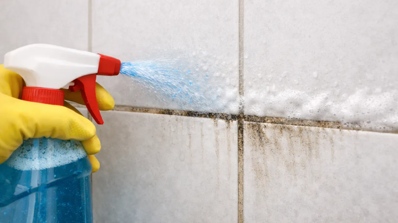 Você pode estar usando esta mistura errada na limpeza do banheiro e deixando o rejunte encardido mais rápido