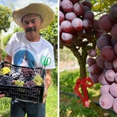 Hercilio e Maria Terezinha Krohling s&atilde;o donos do s&iacute;tio Tr&ecirc;s Lagoas (Foto: Acervo pessoal e Reprodu&ccedil;&atilde;o/Instagram/@sitiotreslagoas_ac)