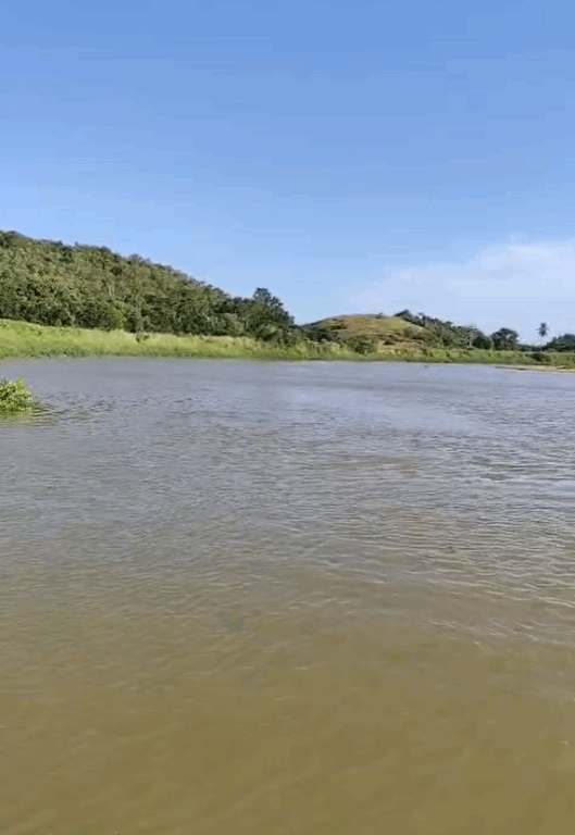 Foto: Montagem/ Folha Vitória 