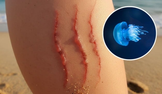 Imagem: Gemini/Canva