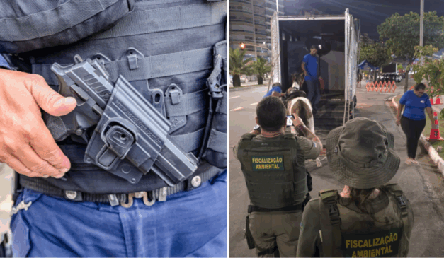 (Foto: Reprodução/Leonardo Silveira/Guarda Municipal de Vitória)