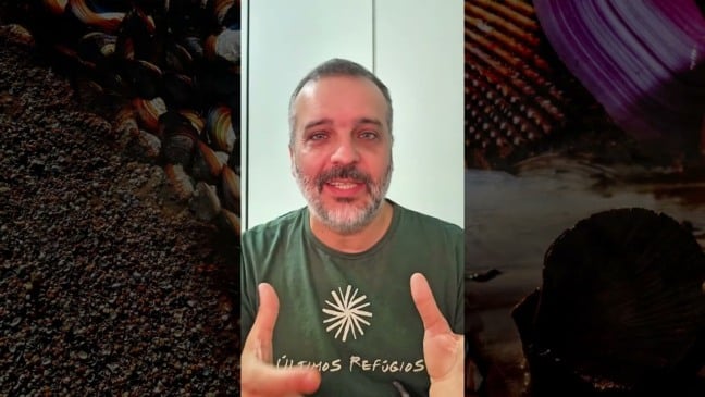 Por que falar de conchas incomodou: o papel das pequenas ações na conservação ambiental