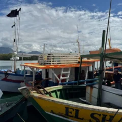 Esp&iacute;rito Santo sanciona lei que pro&iacute;be pesca com traineiras at&eacute; 12 milhas da costa