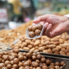 Produ&ccedil;&atilde;o de macad&acirc;mia cresce 39% no Esp&iacute;rito Santo e ganha for&ccedil;a no mercado internacional