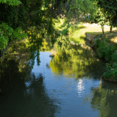 (Foto: Reprodu&ccedil;&atilde;o/Micaelly Bueno Rupf/AGERH/MOP)