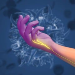 Imagem: Silver Place/Adobe Stock