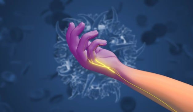 Imagem: Silver Place/Adobe Stock