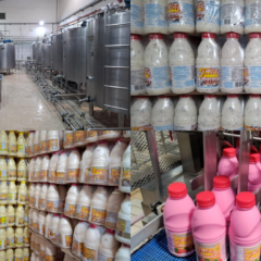 Iogurte de flocos &eacute; carro chefe: ind&uacute;stria que fica em Amarelos quer ampliar produ&ccedil;&atilde;o e espera licen&ccedil;a para vender fora do ES. Cr&eacute;dito: Montagem/Divulga&ccedil;&atilde;o