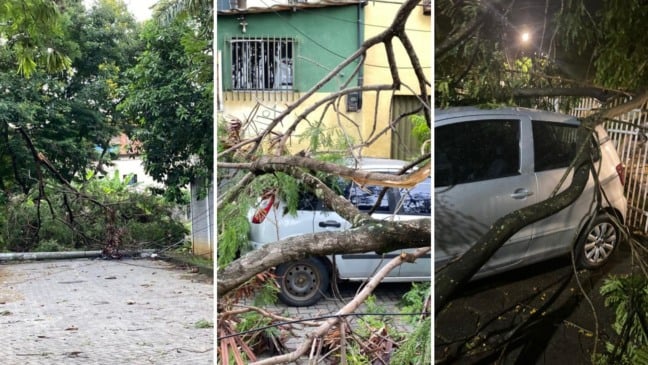 Árvores e postes caídos após as chuvas (Foto: Thiago Soares)