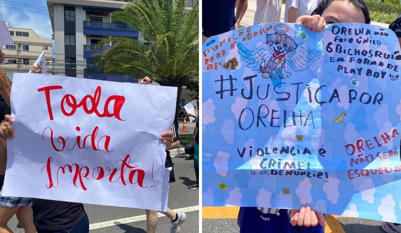 Manifestação justiça por orelha Manifestação justiça por orelha