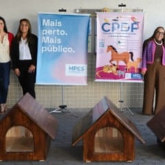 Projeto-piloto do MPES entregou casinhas para c&atilde;es comunit&aacute;rios