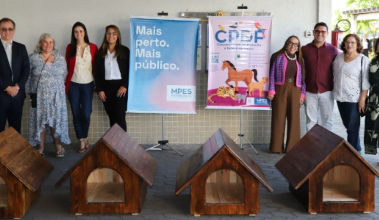 Projeto-piloto do MPES entregou casinhas para cães comunitários