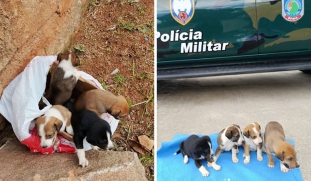 Foto: Divulgação/BPMA