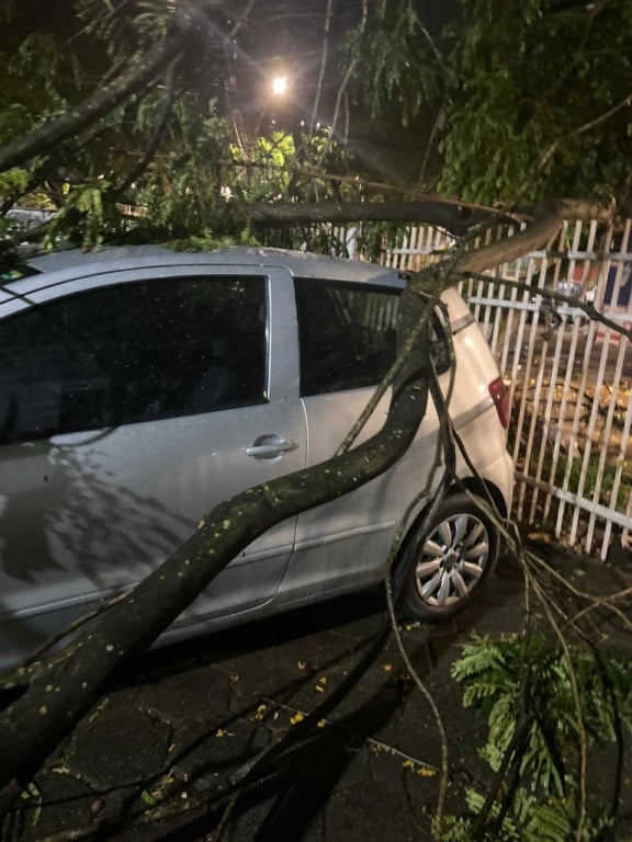Árvores e postes caídos após as chuvas (Foto: Thiago Soares)