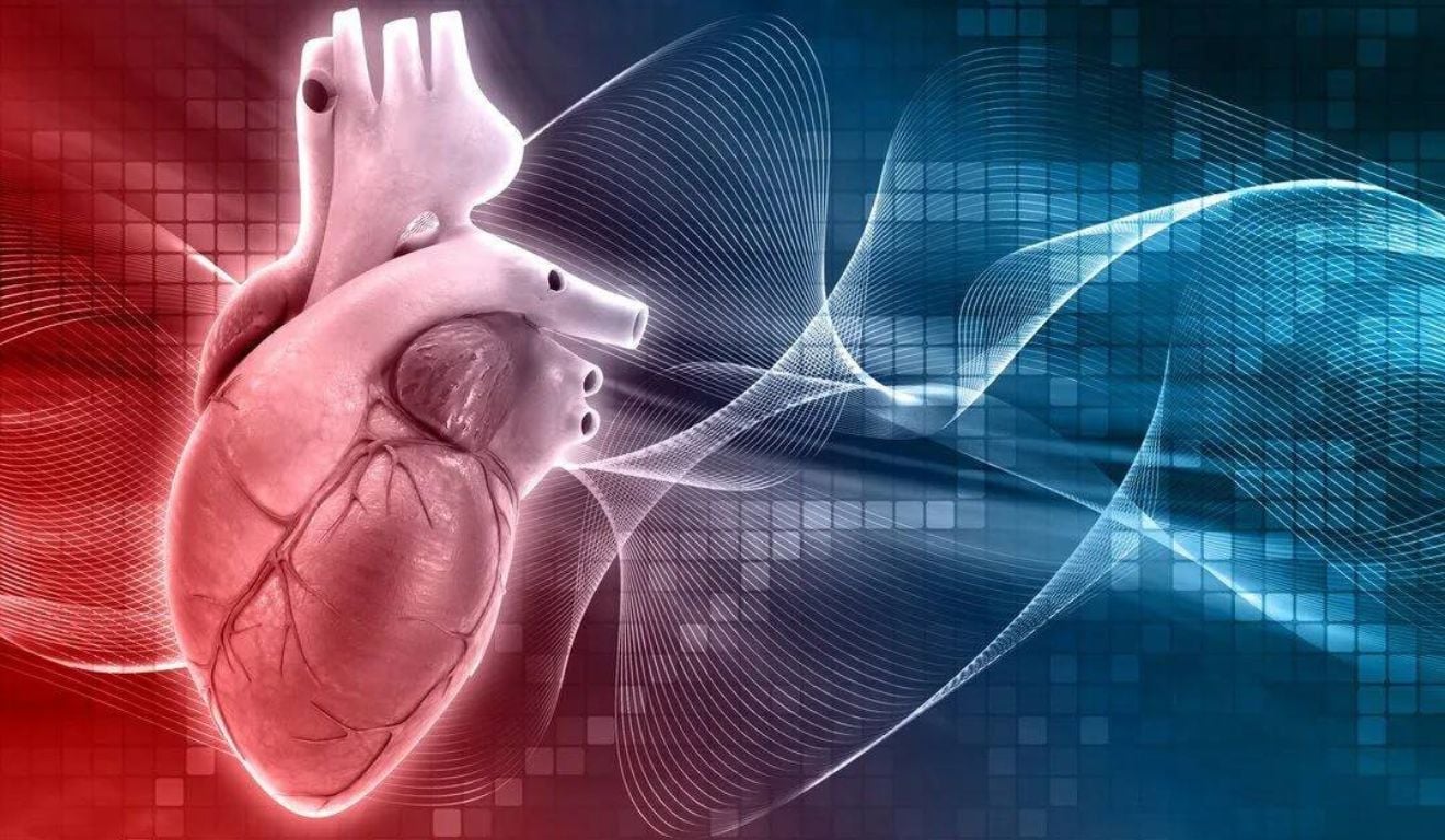 Depressão: um problema do corpo inteiro… e do coração também