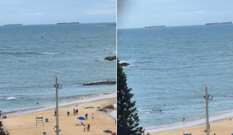 VÍDEO | Criança vê baleia na Praia da Costa e se emociona