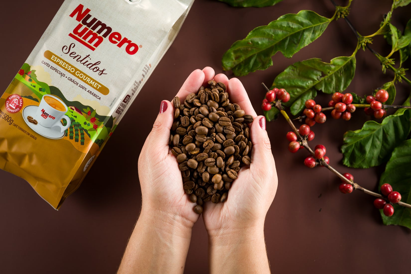 Grãos capixabas: café especial puxa crescimento de 57% no segmento da Buaiz Alimentos