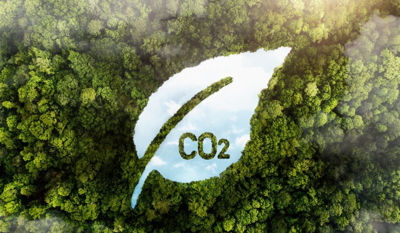 O que esperar do mercado regulado de carbono no Espírito Santo?