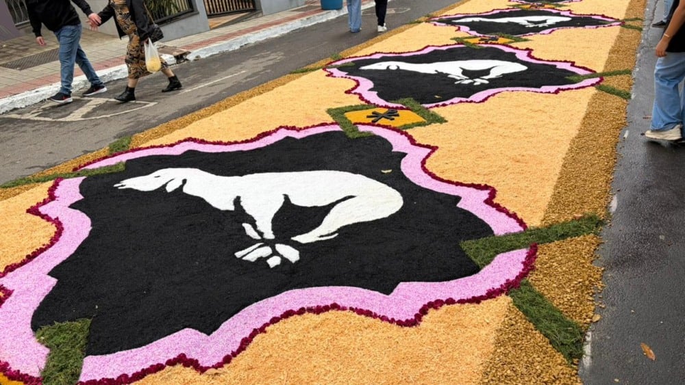 Foto: Alberto Margon/ Folha Vitória